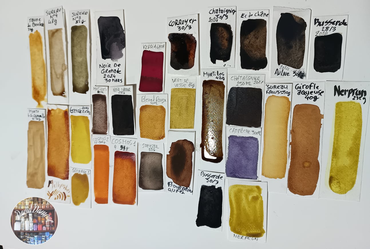 Nuanciers de colorants purs 2024 par David Damour
