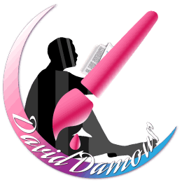 Logo David Damour