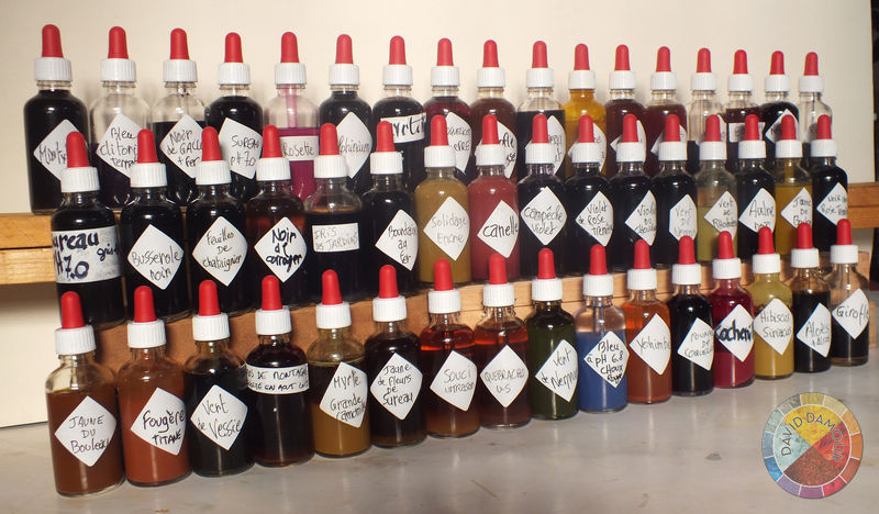 50 encres David Damour 2022