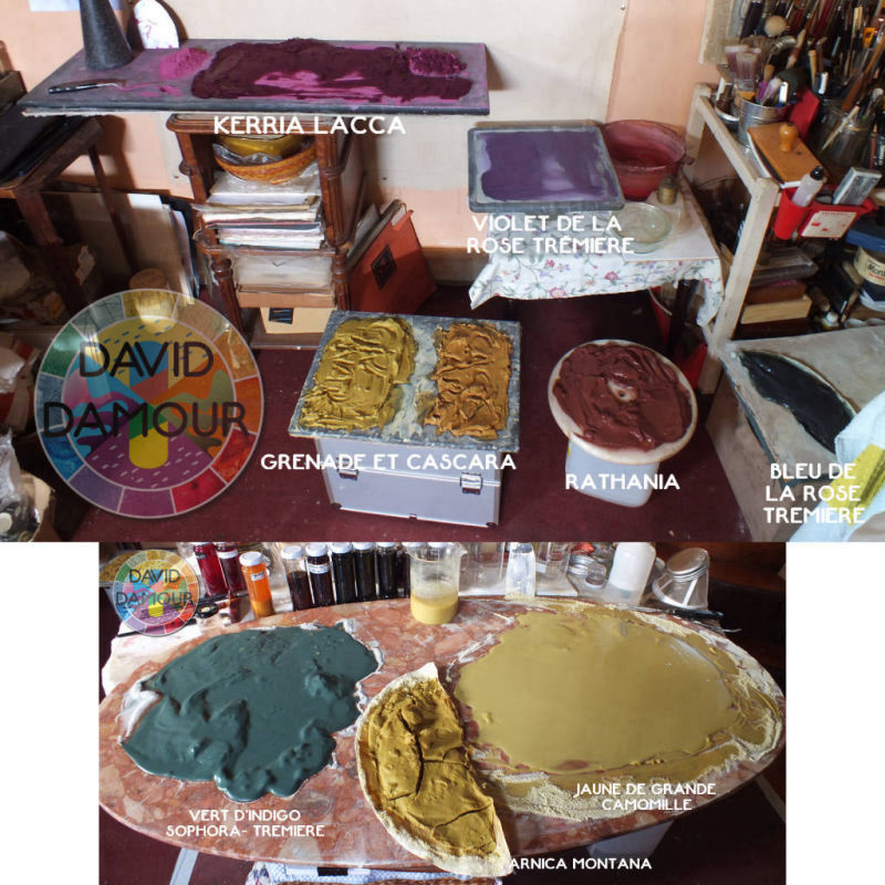 MACÉRATIONS DE VÉGÉTAUX