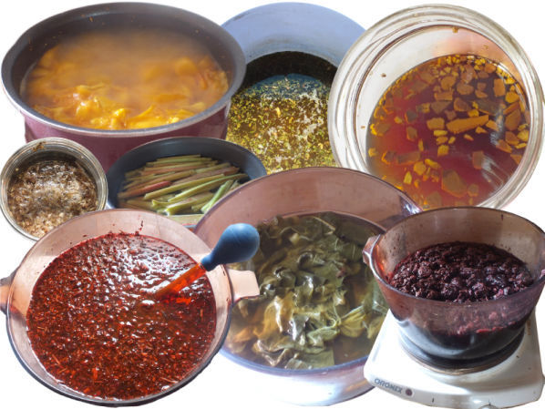 MACÉRATIONS DE VÉGÉTAUX