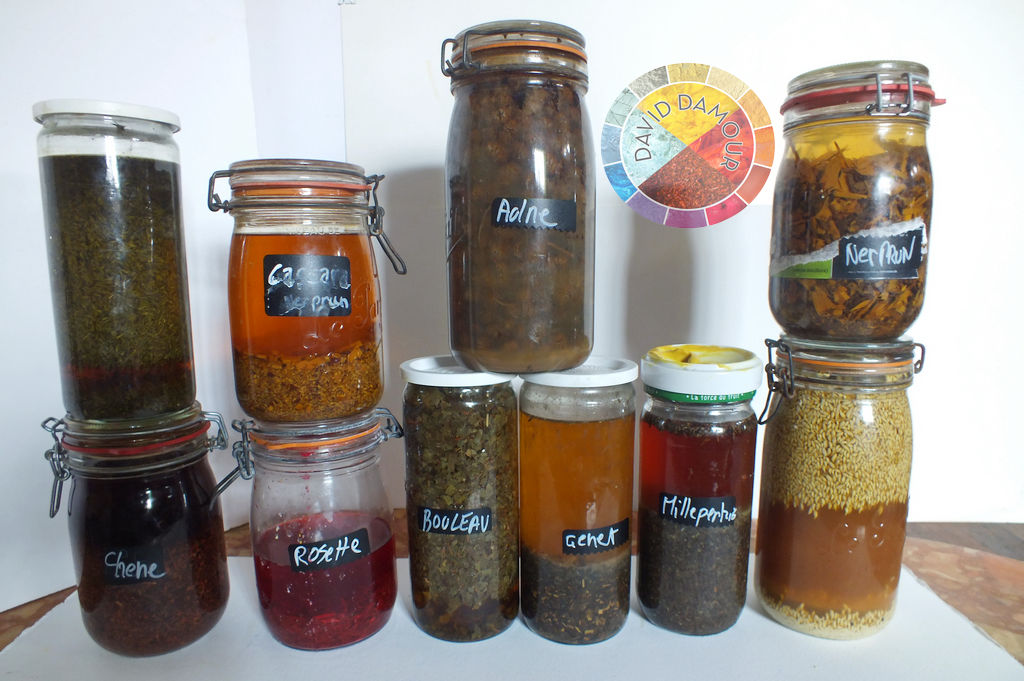 végétaux pour le masterclass de mai 2022